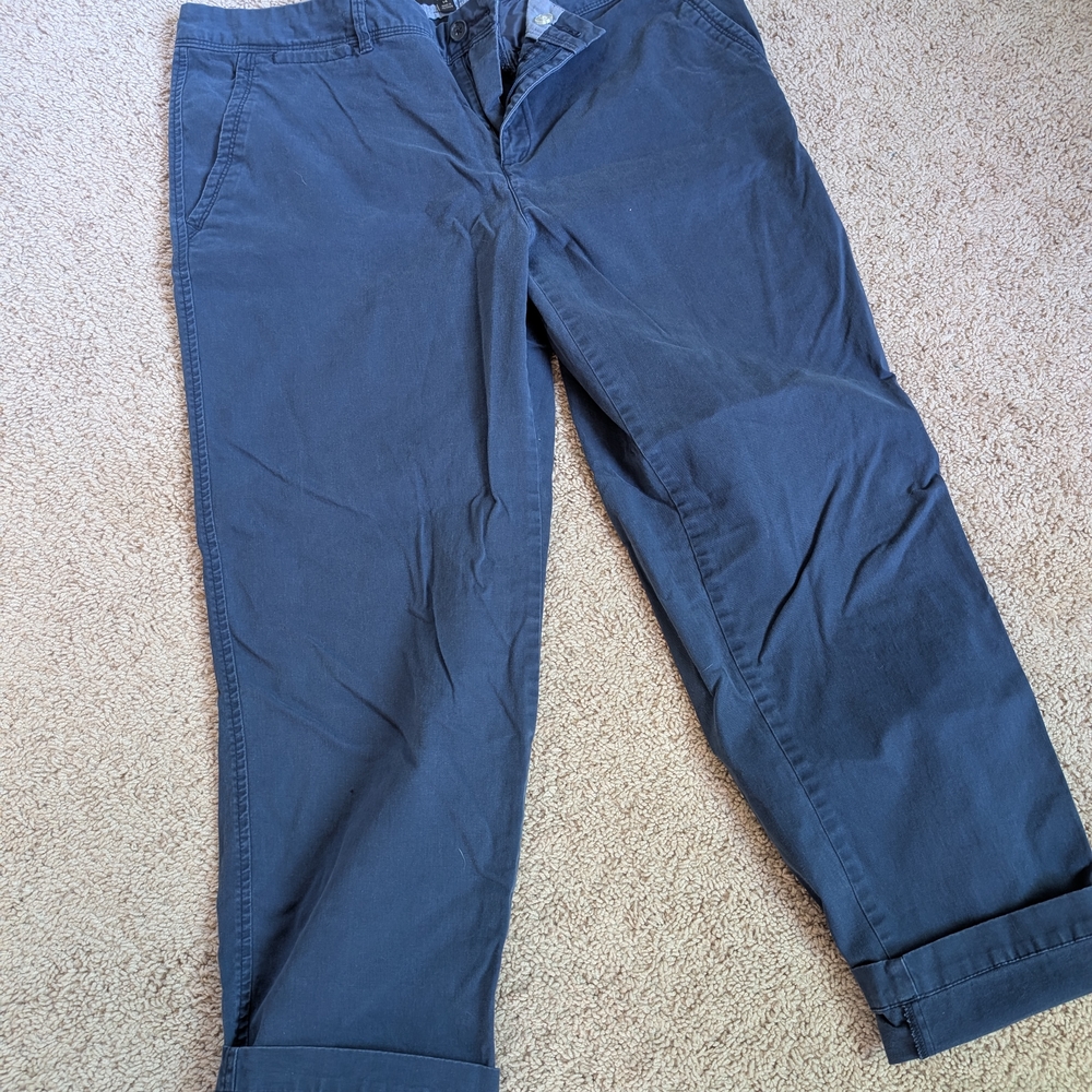 Women's Banana Republic Navy Pants